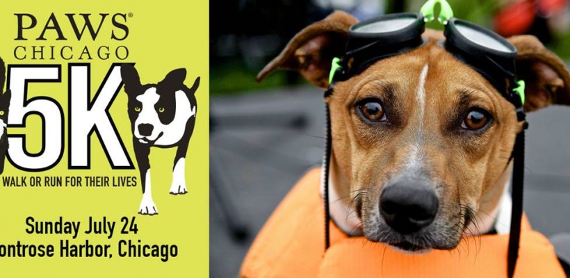 PAWS CHICAGO 5K WALK OR RUN FOR THEIR LIVES