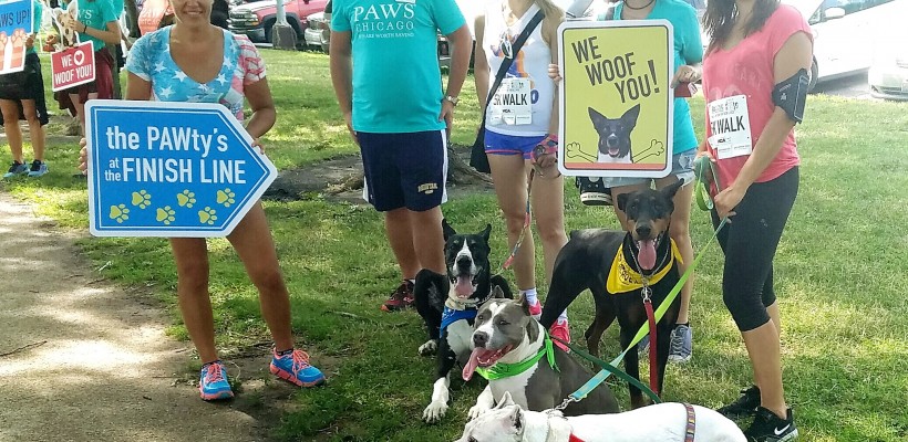 PAWS CHICAGO 5K WALK OR RUN TO SAVE THEIR LIVES 2016