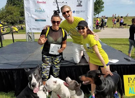 17TH ANNUAL PAWS CHICAGO 5K WALK OR RUN FOR THEIR LIVES 2017