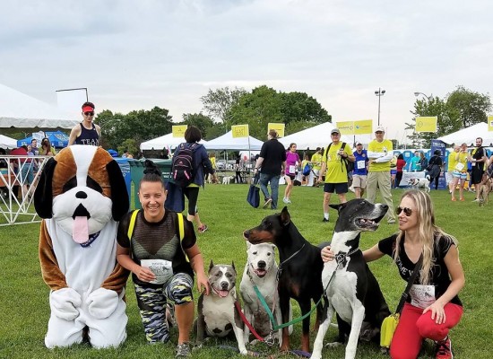 17TH ANNUAL PAWS CHICAGO 5K WALK OR RUN FOR THEIR LIVES 2017