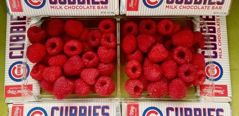 FREE CUBBIES CHOCOLATE WITH RASBERRY